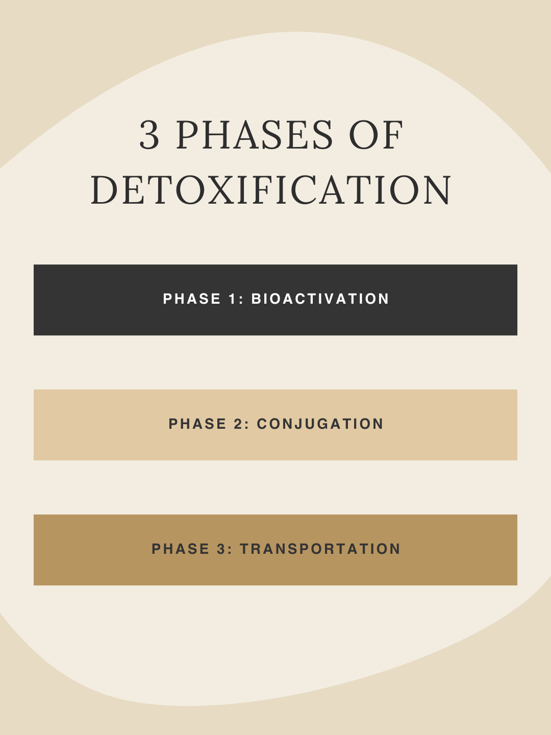 3 Phases of Detoxification