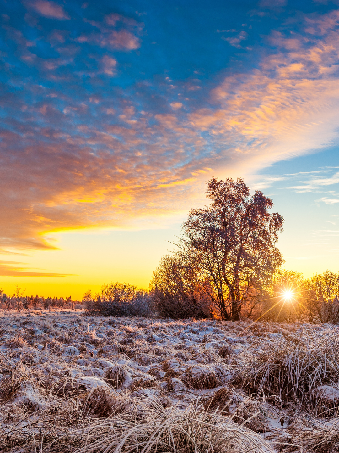 Rituals for Honoring Winter