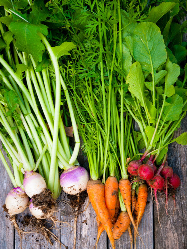 10 Foods to Cleanse Your Gut